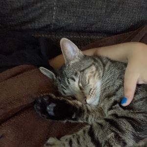 Meet your Posher, Ashes